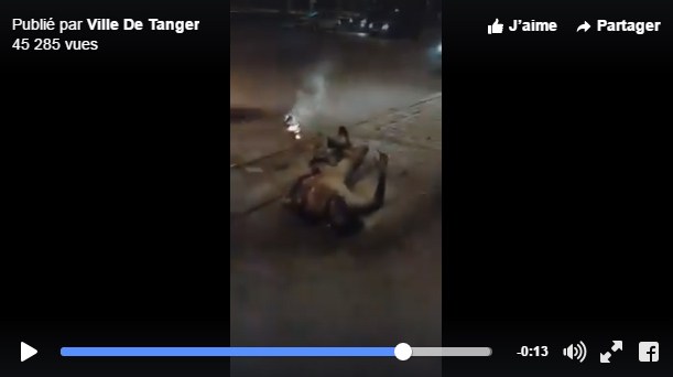 فيديو صادم..مصرع سائق طاكسي بعدما اضرم النار في جسده بطنجة