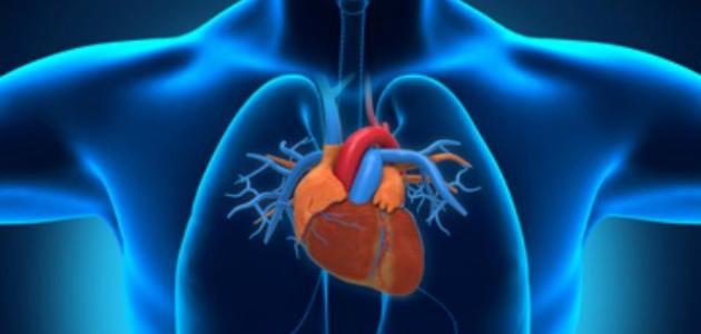 نجاح اختبارات جهاز “يلتف” حول القلب ويضخ الدم