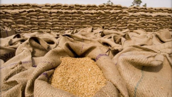 إجراءات جديدة من أجل تسويق محاصيل الحبوب بالمغرب