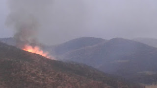 حريق يندلع بإحدى غابات تغدوين إقليم الحوز وعناصر الوقاية المدنية تجاهد لإخماده +صور