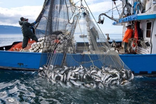 اضراب البحارة وربابنة الصيد بالمغرب يشل موانئ الصيد البحري ويوقف الحركة التجارية