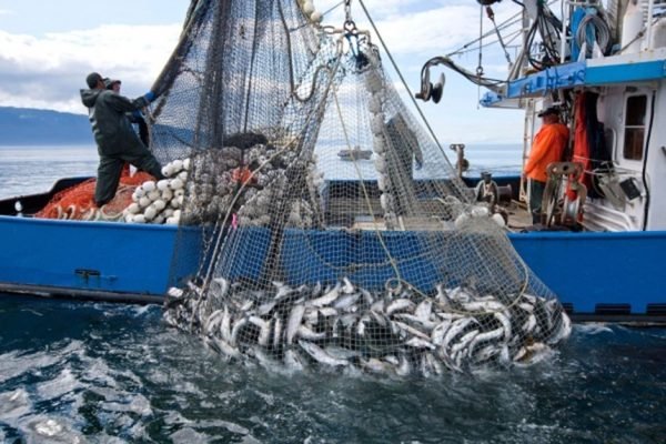 اضراب البحارة وربابنة الصيد بالمغرب يشل موانئ الصيد البحري ويوقف الحركة التجارية