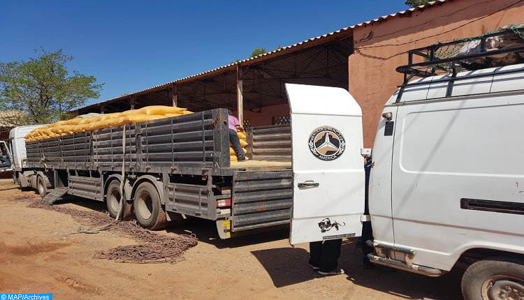 توزيع 60 ألف قنطار من الشعير المدعم لمربي الماشية باقليم الصويرة