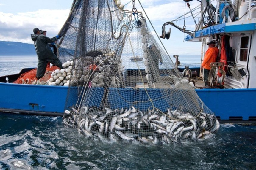 مهنيو الصيد البحري يدقون ناقوس الخطر المهدد للثروة السمكية بالمغرب