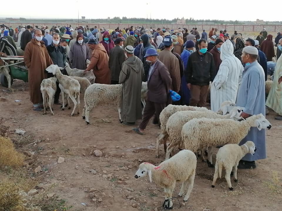 اقليم شيشاوة.. فتح السوق الأسبوعي لسيدي المختار في وجه مربي الماشية
