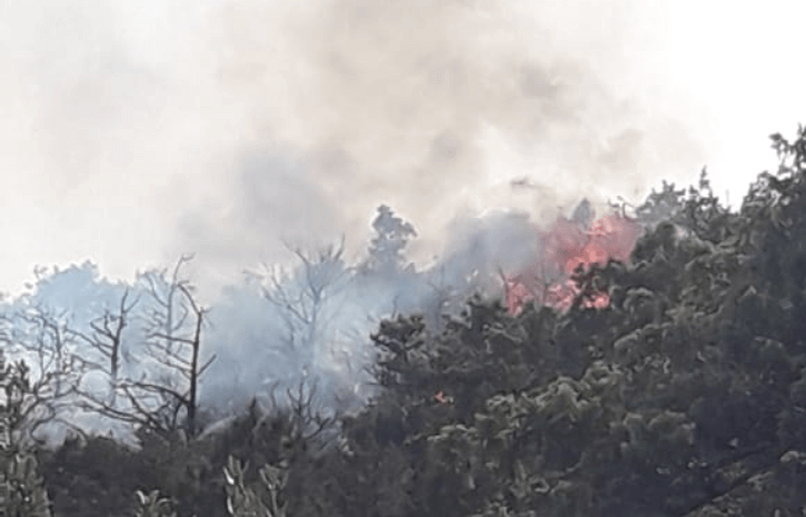 السيطرة على حريق غابوي بجماعة أوريكا بإقليم الحوز بعدما اتى على 17 هكتارا