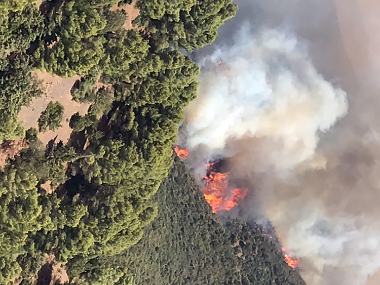حريق غابة بأغواطيم يلتهم أزيد من 54 هكتارا من الأشجار المختلفة