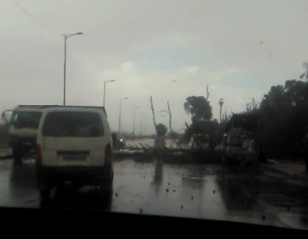 سقوط شجرة ضخمة تتسب في تهشيم سيارة واصابة سائقها بكسور بمراكش