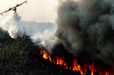 حريق شفشاون أتى على 300 هكتار من الغطاء الغابوي وفتح تحقيق في الموضوع