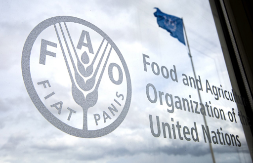انتخاب المغرب عضوا في مجلس إدارة برنامج الأغذية العالمي للأمم المتحدة