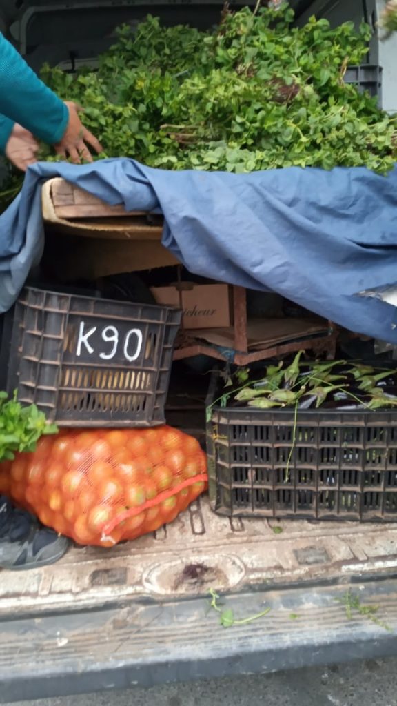 السلطات المحلية بالصويرة تصادر عدد كبير من صناديق الفاكهة المهربة وحجز كمية هائلة مخزنة بمستودعات سرية