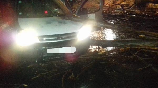 عاصفة رعدية تتسبب في سقوط شجرة كبيرة على سيارة خفيفة ببني ملال