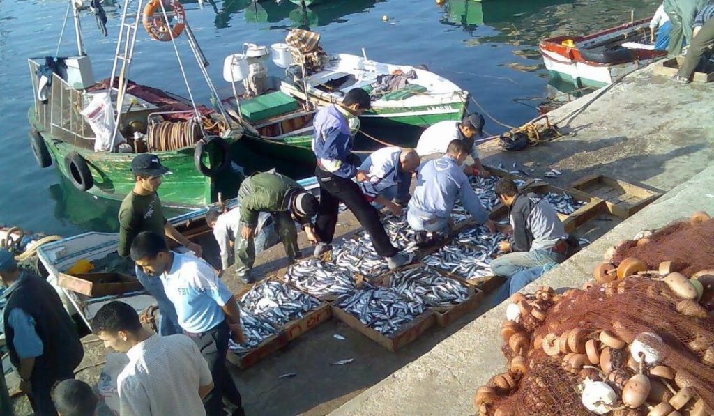 تراجع مفرغات الصيد الساحلي والتقليدي بـ 60 % خلال الربع الأول من 2023