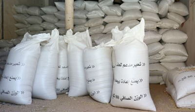 جهة بني ملال -خنيفرة: تخصيص 740 ألف قنطار من الشعير المدعم لفائدة مربي الماشية