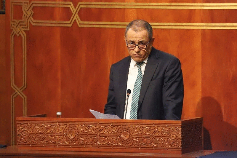 الشامي يستعرض معالم الجيل الجديد لمنظومة الحوار الاجتماعي كما يقترحها المجلس الاقتصادي والاجتماعي والبيئي