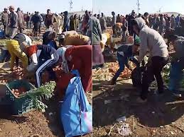 تسجيل تدافع ومشاحنات محدودة بأحد الأسواق الأسبوعية بإقليم القنيطرة