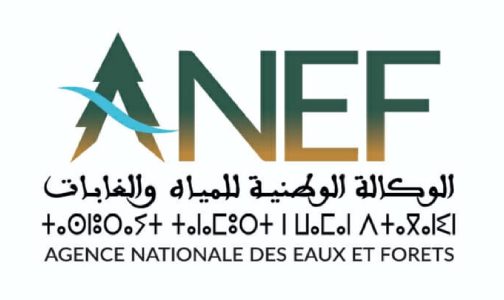 إحداث الوكالة الوطنية للمياه والغابات تحول جذري في تدبير المجال الغابوي بالمغرب
