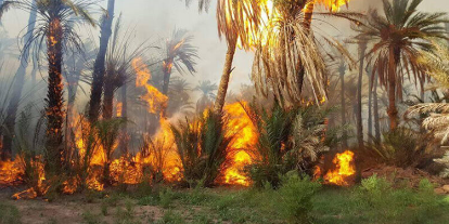 حريق مهول يلتهم العشرات من أشجار النخيل بضواحي الرشيدية