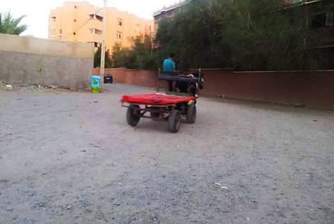 مواطنون بقلعة السراغنة يطالبون السلطات الحد من ظاهرة سياقة العربات المجرورة بالدواب من طرف قاصرين