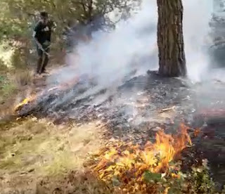 حريق غابة أمزميز يتسبب في خسارة أزيد من 60 هكتارا من المجال الغابوي