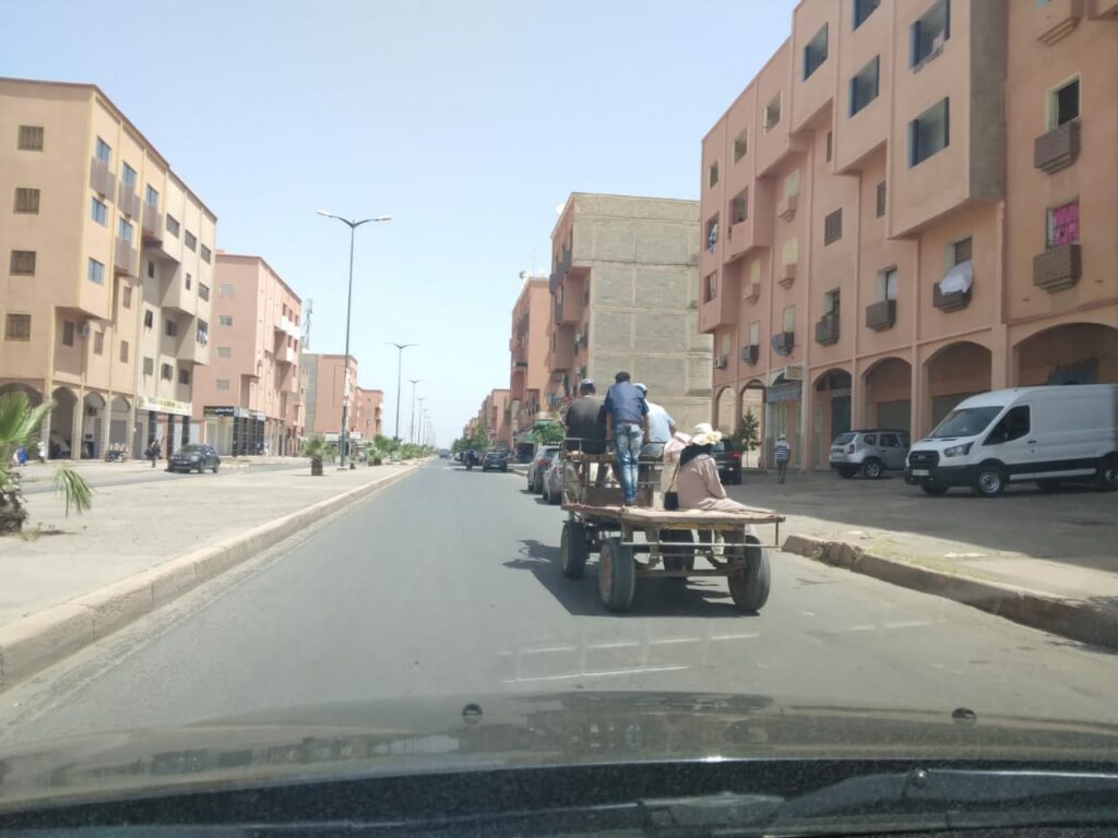 العربات المجرورة بالدواب -الكاروات- تعرقل السير وتهدد حياة المواطنين بالشوارع الرئيسية لمدينة قلعة السراغنة