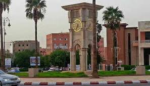 المجلس الجماعي لقلعة السراغنة يعلن عن تنفيذ مخطط محلي لرش عدد من الأحياء السكنية بالمبيدات ضد الحشرات السامة