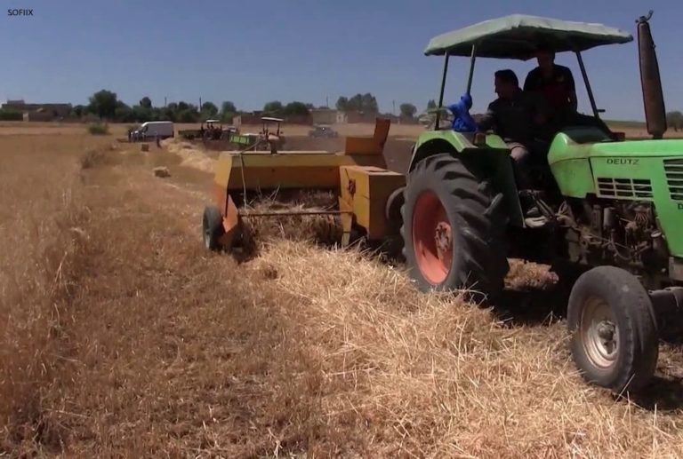 فلاحو ومربو الماشية باقليم السراغنة يثيرون تأثير الجفاف على الاوضاع الاقتصادية والاجتماعية ويطالبون بتوفير مواد العلف والزيادة في حصة الشعير المدعم