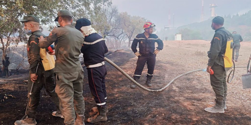 السيطرة على الحريق المسجل بغابة “المبيكا” بمدينة العرائش