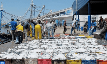 ميناء الصويرة .. ارتفاع الكميات المفرغة من منتجات الصيد الساحلي والتقليدي بـ 53 في المئة
