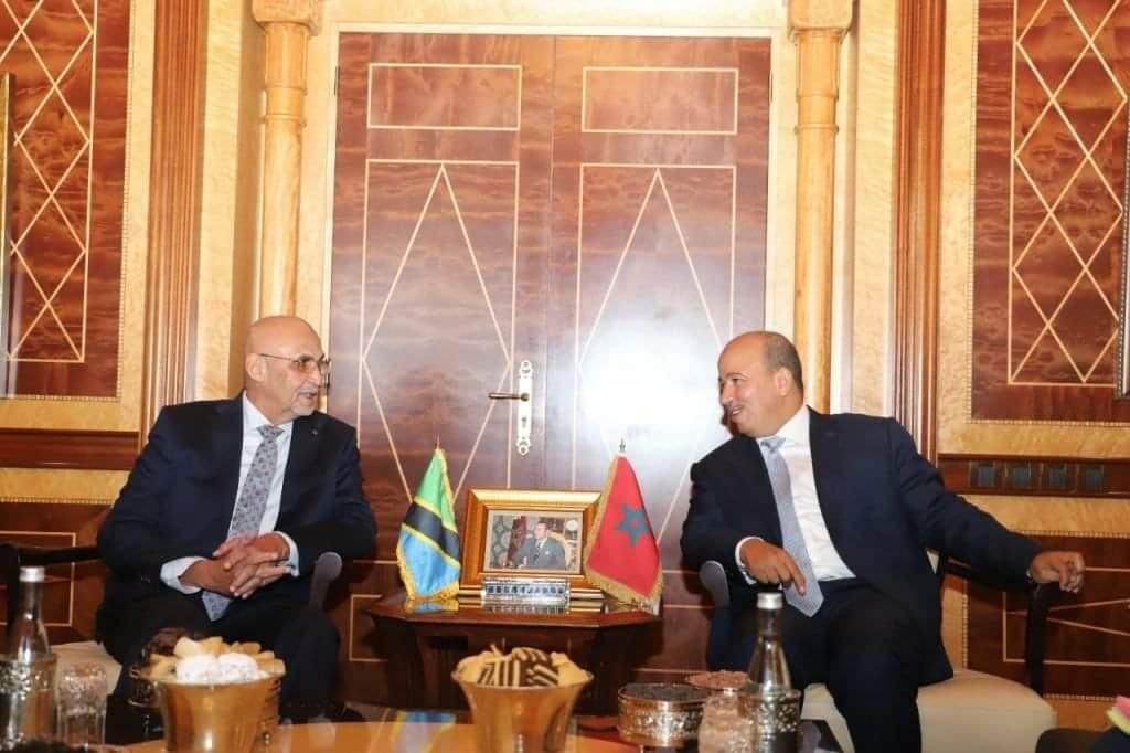 ميارة يبحث مع نائب رئيسة الجمعية الوطنية لتنزانيا سبل تطوير العلاقات الثنائية