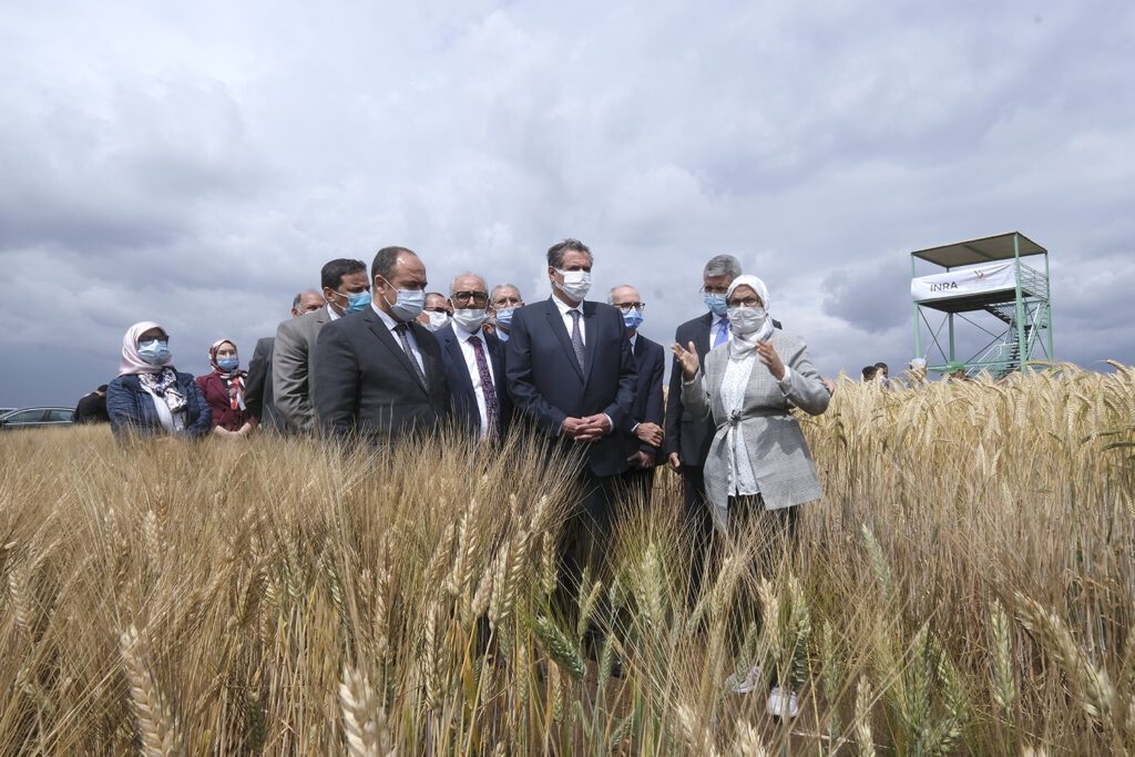 المعهد الوطني للبحث الزراعي ومعهد فولكاني الإسرائيلي يتفقان على تعزيز التعاون في البحث الزراعي