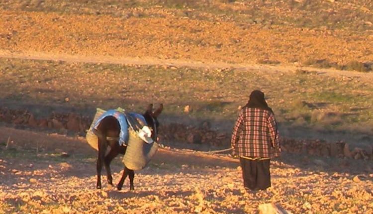 خبراء يتوقعون تاخر موعد فصل الشتاء واستمرار الجفاف