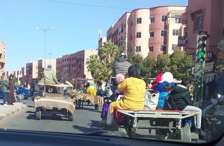 مواطنون بقلعة السراغنة يطالبون السلطات الحد من ظاهرة سياقة العربات المجرورة بالدواب من طرف قاصرين