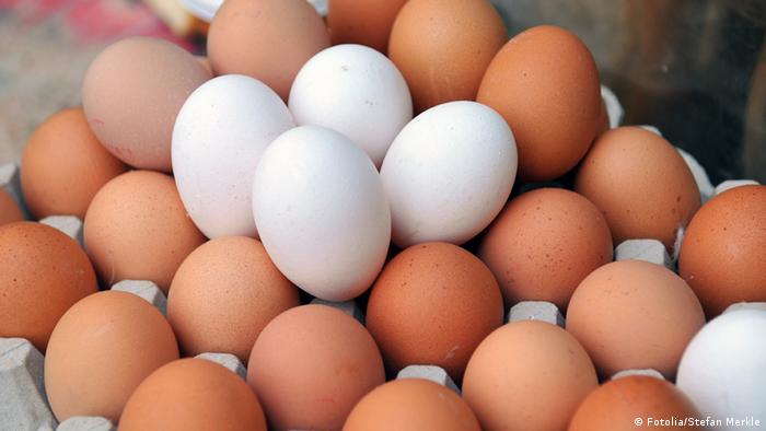 أسعار البيض تقفز إلى مستويات قياسية بالمغرب