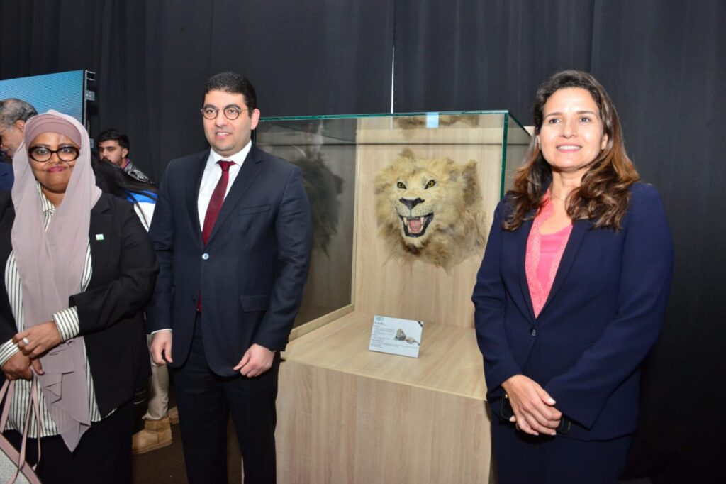 الوزير المهدي بنسعيد يشرف على افتتاح معرض خاص بأسد الأطلس يسلط الضوء على تاريخه لآلاف السنين
