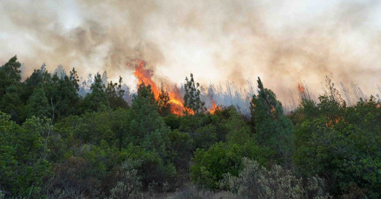 المغرب يدعو إلى إحداث منصة للخبراء الأفارقة في مجال إدارة الكوارث الطبيعية