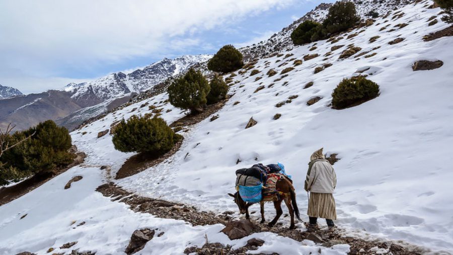 وزارة الصحة تتعبأ لتقريب الخدمات الصحية الأساسية والأدوية للساكنة المتضررة بالتساقطات الثلجية