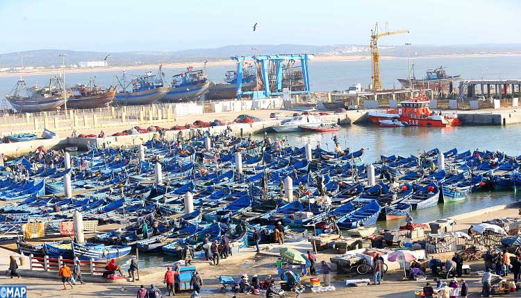 الصيد الساحلي والتقليدي: انخفاض كبير في الكميات المفرغة بنسبة 68 % عند متم فبراير