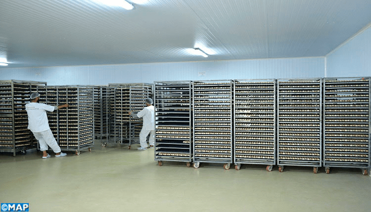 اللجنة المختلطة الإقليمية لمراقبة أسعار وجودة المواد الغذائية تزور ضيعة دواجن لإنتاج الكتاكيت باقليم الصويرة