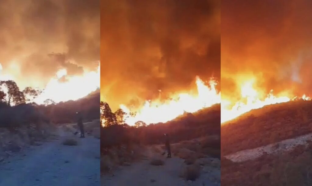 السلطات تجلي المواطنين من غابة اشتعلت بها النيران ضواحي بركان