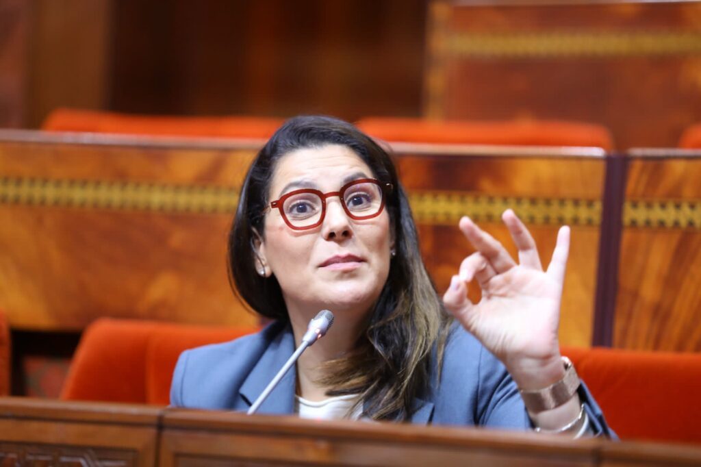 إعانة الدولة لدعم السكن.. الوزيرة المنصوري تكشف صيغة الدعم المباشر للأسر ذات الدخل المنخفض والطبقة المتوسطة