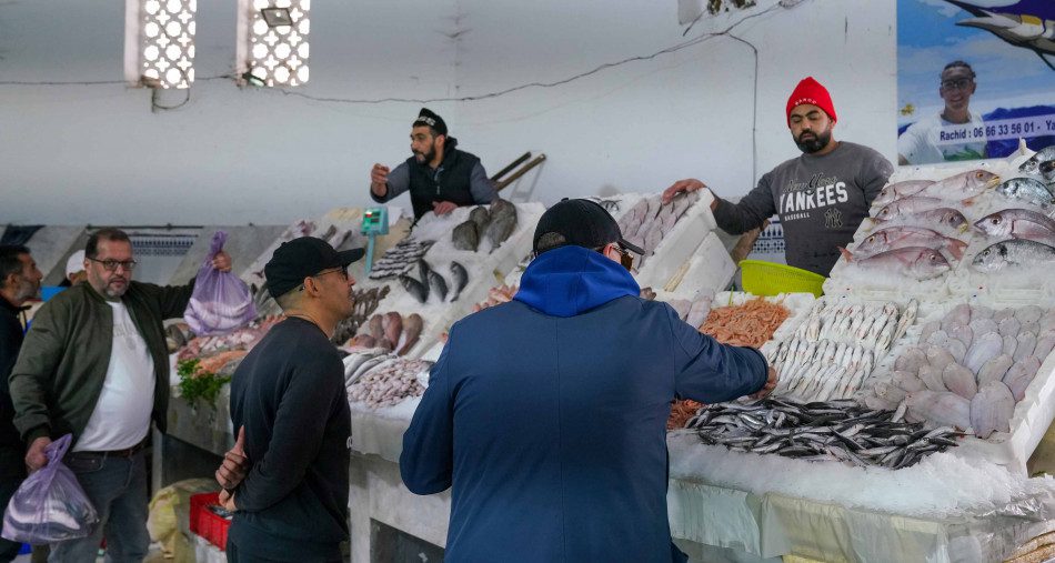 أسعار الأسماك في رمضان .. إحداث لجنة لتتبع السوق