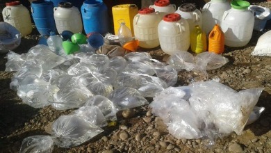 فرقة مكافحة العصابات تضع حد لنشاط اكبر مروج للماحيا بمراكش