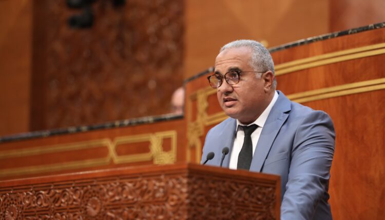 تقرير المجال السياحي.. شميس يدعو لاستحضار المنتوج التقليدي عند كل سياسة عمومية للنهوض بالقطاع