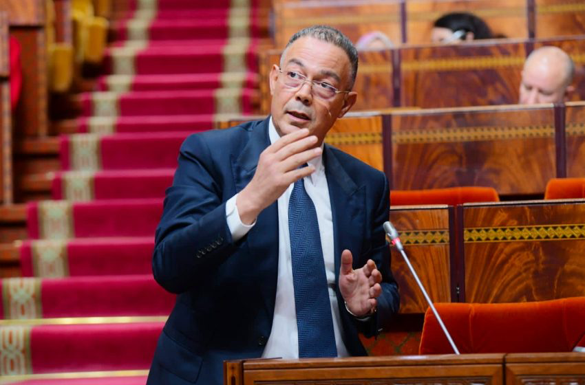 لقجع: كلفة برنامج الحماية الاجتماعية ستبلغ 29 مليار درهم السنة المقبلة