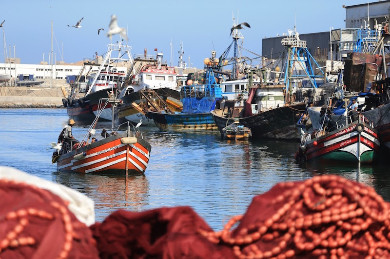 ارتفاع كمية مفرغات الصيد البحري بـ 110% في ميناء الصويرة