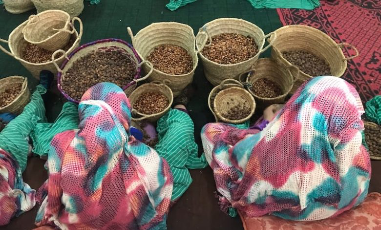 إستفادة حوالي 42 تعاونية بإقليم الصويرة من دعم المبادرة الوطنية للتنمية البشرية