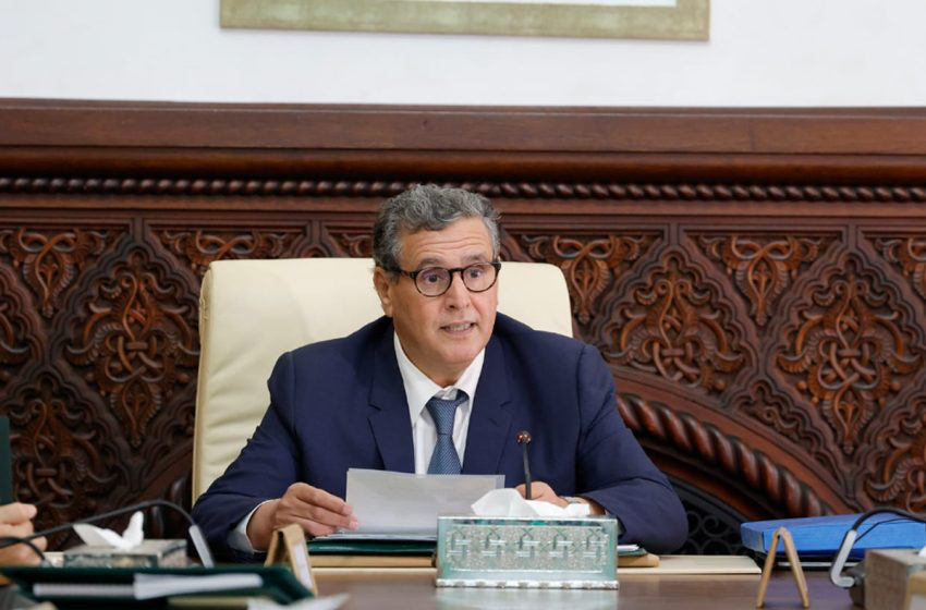 أخنوش: العلاقة بين المغرب ومنظمة التعاون والتنمية الاقتصادية لطالما تميزت بالتعاون الدائم والمثمر