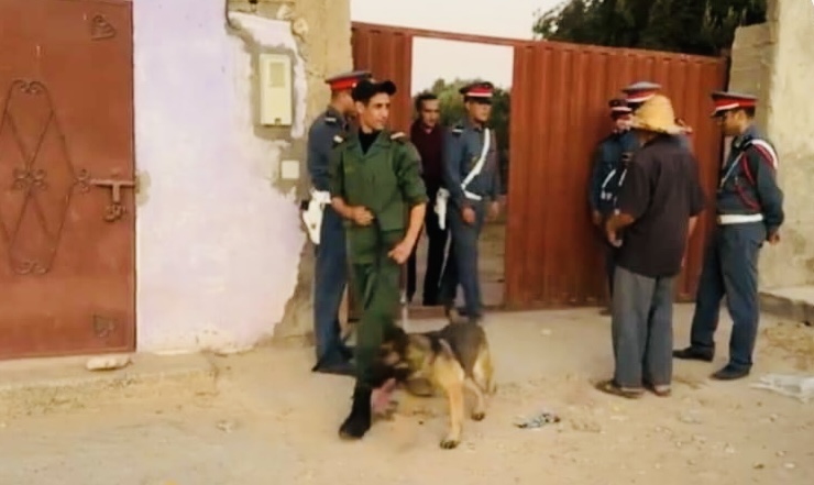 درك آسفي يشن الحرب على شبكات التهريب الدولي ويطيح بمتورطين