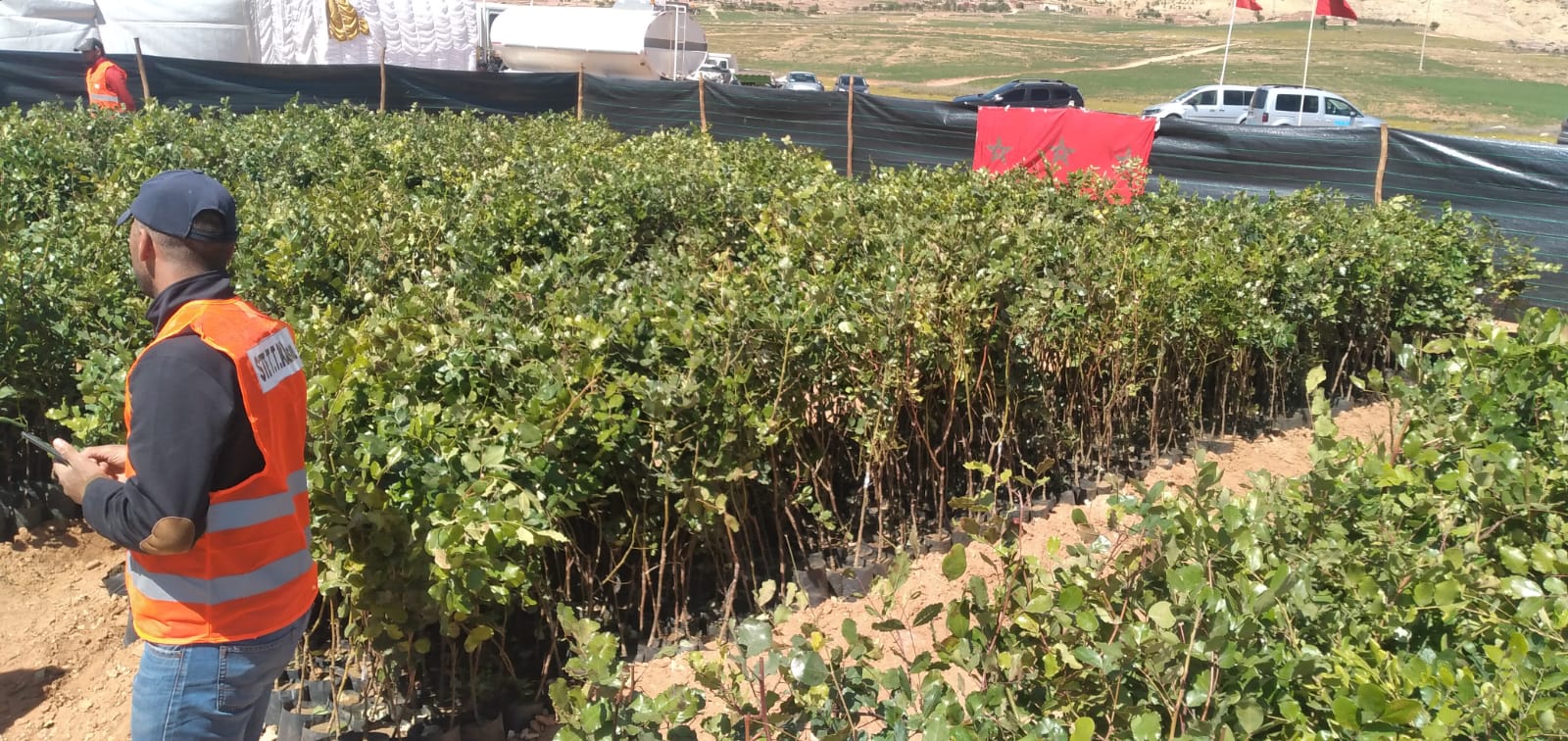 النشاط الفلاحي بإقليم شيشاوة يستعيد حيويته بعد مرور عام من زلزال الحوز